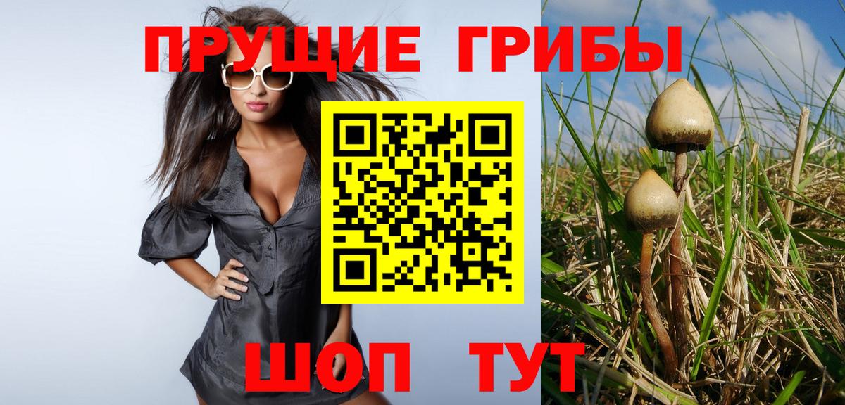как найти закладки  Вход с VPN  Томск  Псилоцибиновые грибы Magic Shrooms  Псилоцибиновые грибы мицелий 