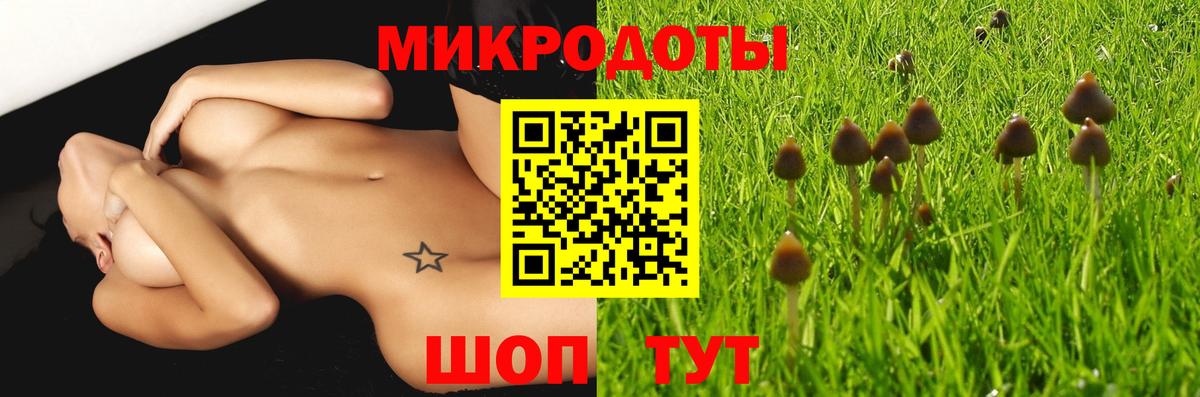 Псилоцибиновые грибы мухоморы Томск